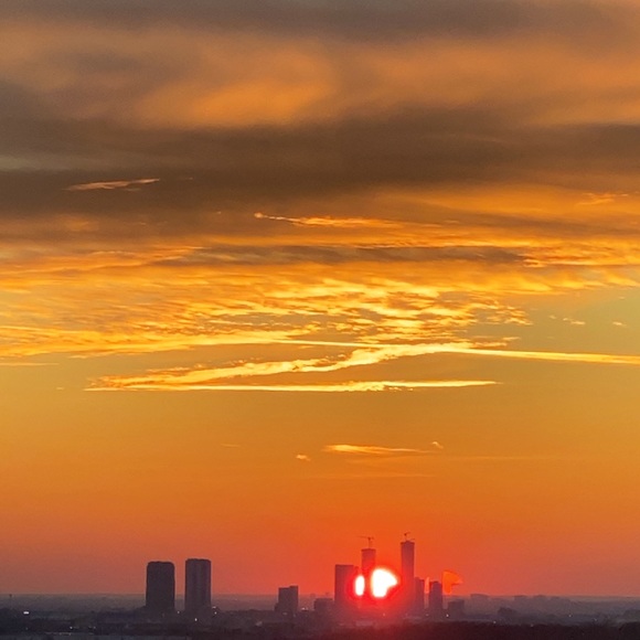 Meet your Posher, Parizad - Picture 1 of 1